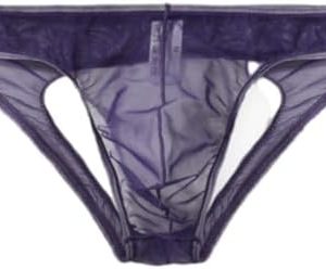 Evankin Men's Brief Underwear - Ice Silk Sexy Low Waisted Mesh Jockstrap Thong - Comfortable and Breathable for Everyday